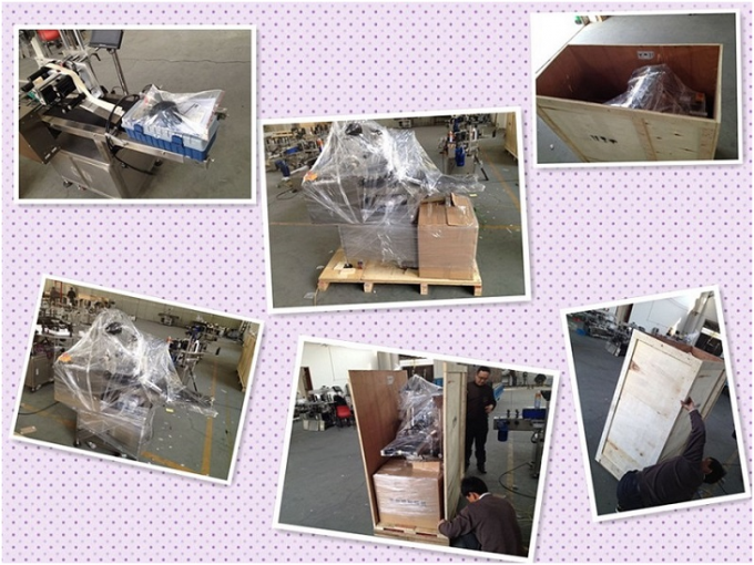 HAY SUS304 Servo Motor автомат дугуй лонхны шошголох машин PLC хяналт